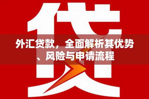 玉屏外汇贷款，全面解析其优势、风险与申请流程