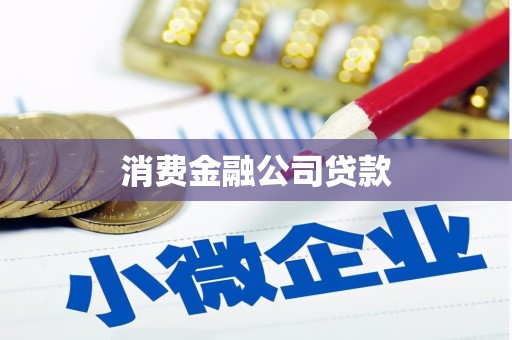 玉屏消费金融公司贷款