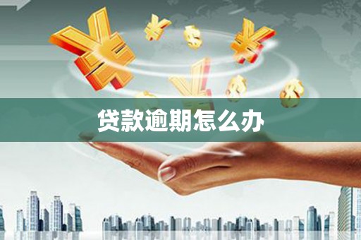 玉屏贷款逾期怎么办