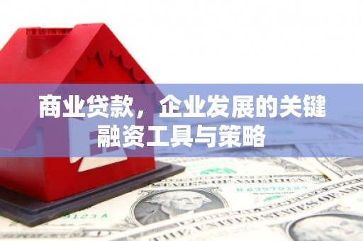 玉屏商业贷款，企业发展的关键融资工具与策略