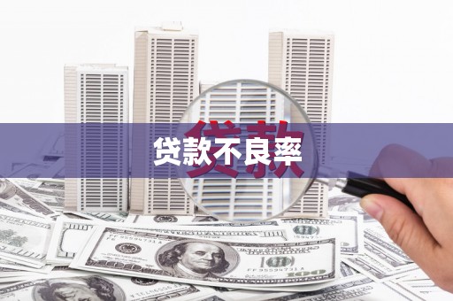 玉屏贷款不良率