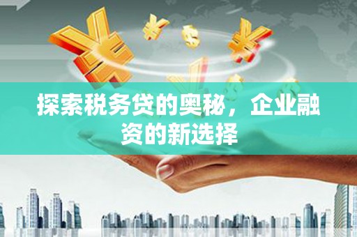 玉屏探索税务贷的奥秘，企业融资的新选择