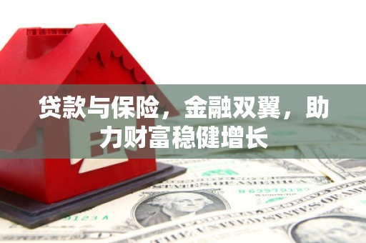 玉屏贷款与保险，金融双翼，助力财富稳健增长