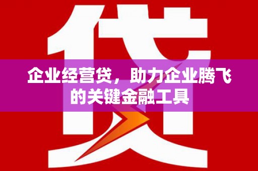 玉屏企业经营贷，助力企业腾飞的关键金融工具