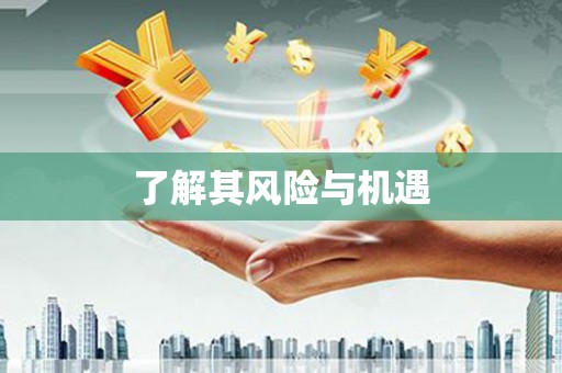 玉屏了解其风险与机遇