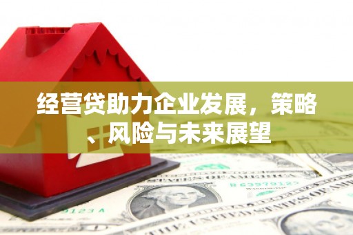 玉屏经营贷助力企业发展，策略、风险与未来展望