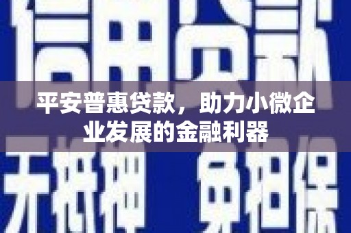 玉屏平安普惠贷款，助力小微企业发展的金融利器