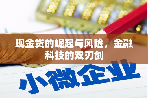 玉屏现金贷的崛起与风险，金融科技的双刃剑
