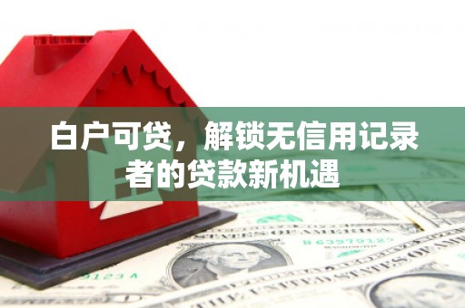 玉屏白户可贷，解锁无信用记录者的贷款新机遇