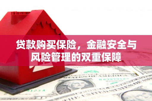 玉屏贷款购买保险，金融安全与风险管理的双重保障