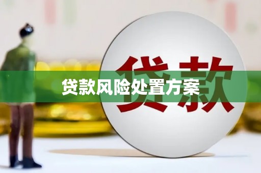 玉屏贷款风险处置方案