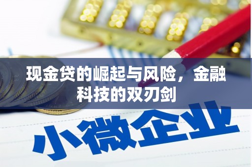 玉屏现金贷的崛起与风险，金融科技的双刃剑