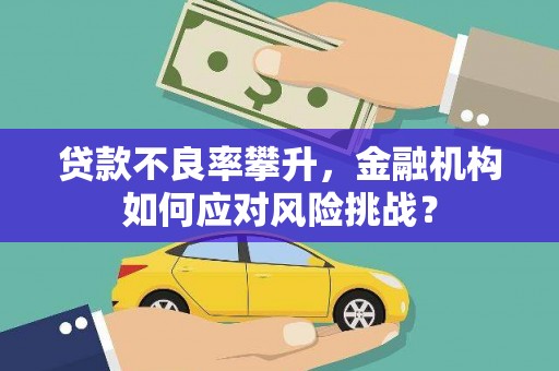 玉屏贷款不良率攀升，金融机构如何应对风险挑战？