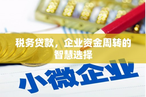 玉屏税务贷款，企业资金周转的智慧选择