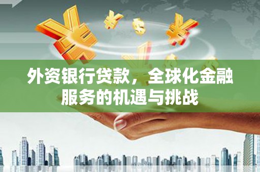 玉屏外资银行贷款，全球化金融服务的机遇与挑战