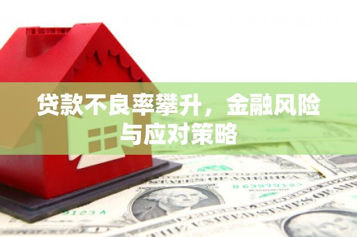 玉屏贷款不良率攀升，金融风险与应对策略