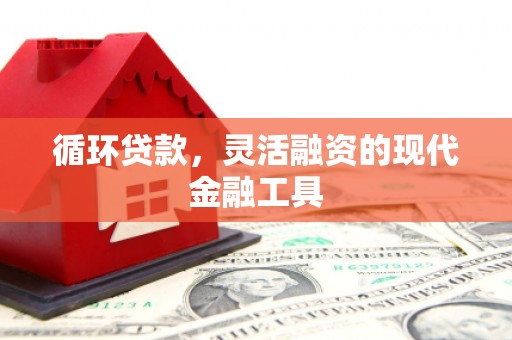 玉屏循环贷款，灵活融资的现代金融工具