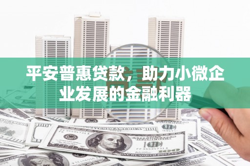 玉屏平安普惠贷款，助力小微企业发展的金融利器