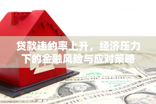 玉屏贷款违约率上升，经济压力下的金融风险与应对策略