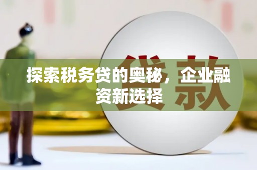 玉屏探索税务贷的奥秘，企业融资新选择