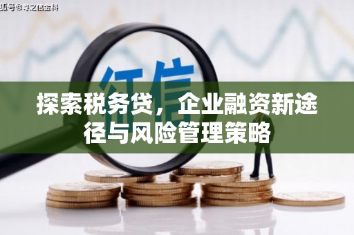 玉屏探索税务贷，企业融资新途径与风险管理策略