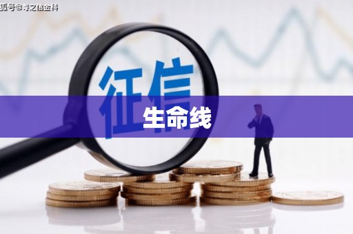 玉屏生命线