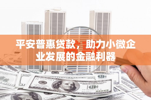 玉屏平安普惠贷款，助力小微企业发展的金融利器