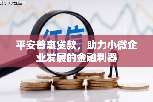 玉屏平安普惠贷款，助力小微企业发展的金融利器