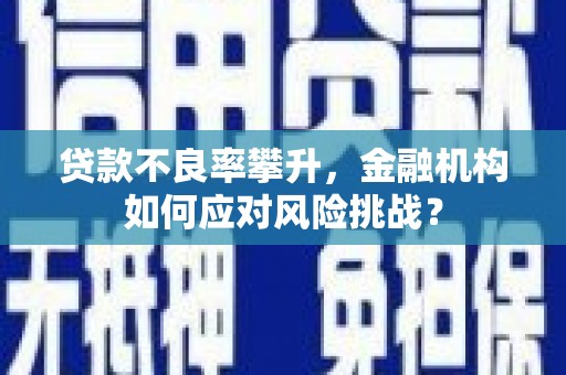 玉屏贷款不良率攀升，金融机构如何应对风险挑战？