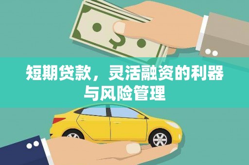 玉屏短期贷款，灵活融资的利器与风险管理