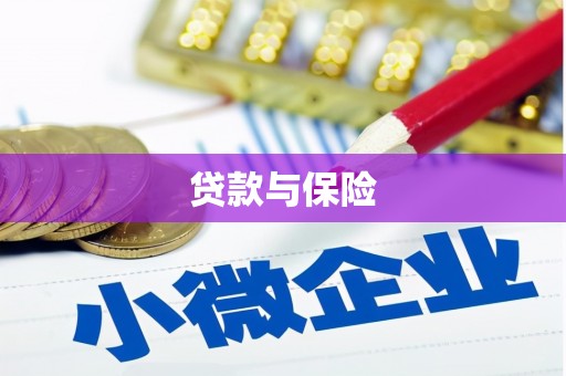 玉屏贷款与保险