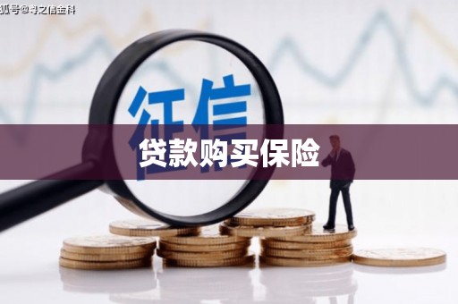玉屏贷款购买保险