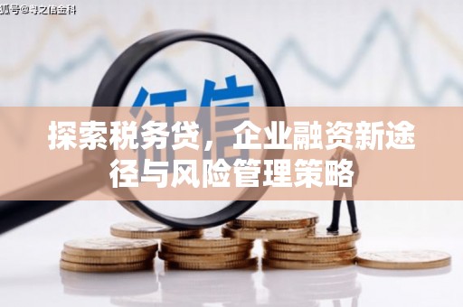 玉屏探索税务贷，企业融资新途径与风险管理策略