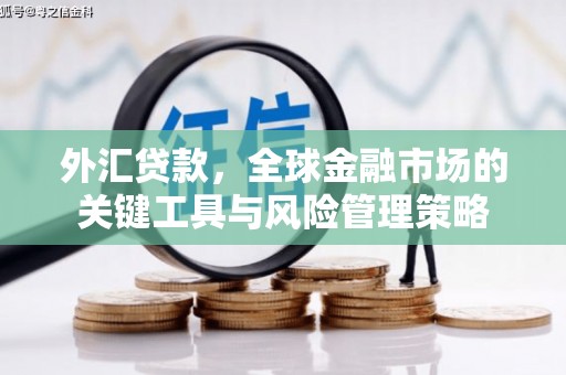 玉屏外汇贷款，全球金融市场的关键工具与风险管理策略