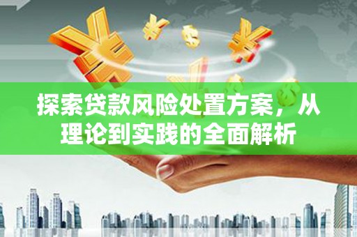 玉屏探索贷款风险处置方案，从理论到实践的全面解析