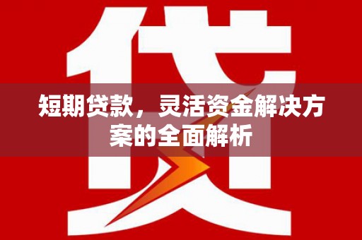 玉屏短期贷款，灵活资金解决方案的全面解析
