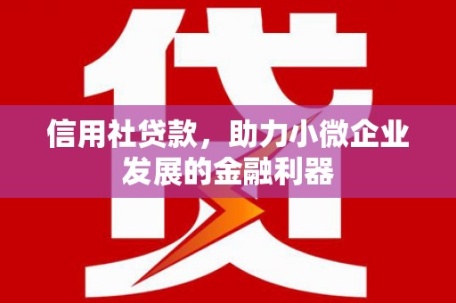 玉屏信用社贷款，助力小微企业发展的金融利器
