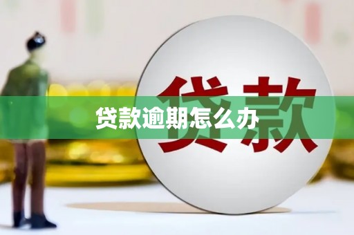 玉屏贷款逾期怎么办