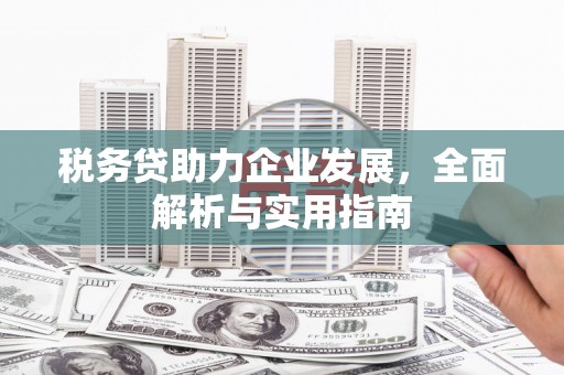 玉屏税务贷助力企业发展，全面解析与实用指南