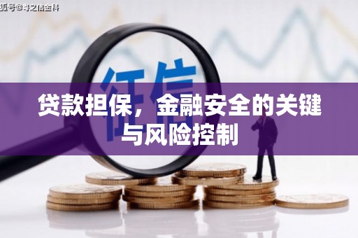 玉屏贷款担保，金融安全的关键与风险控制