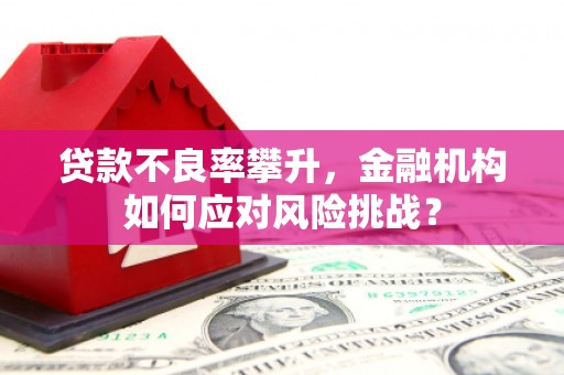 玉屏贷款不良率攀升，金融机构如何应对风险挑战？