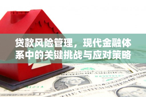 玉屏贷款风险管理，现代金融体系中的关键挑战与应对策略