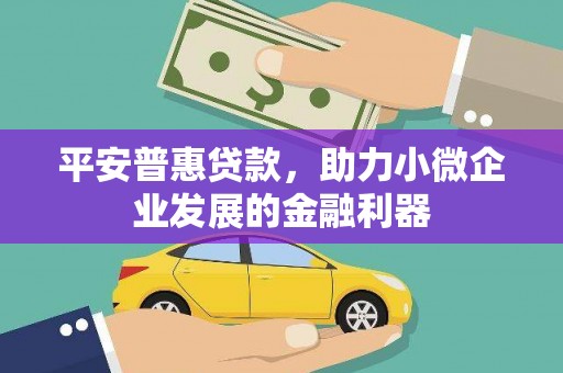 玉屏平安普惠贷款，助力小微企业发展的金融利器