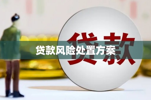 玉屏贷款风险处置方案